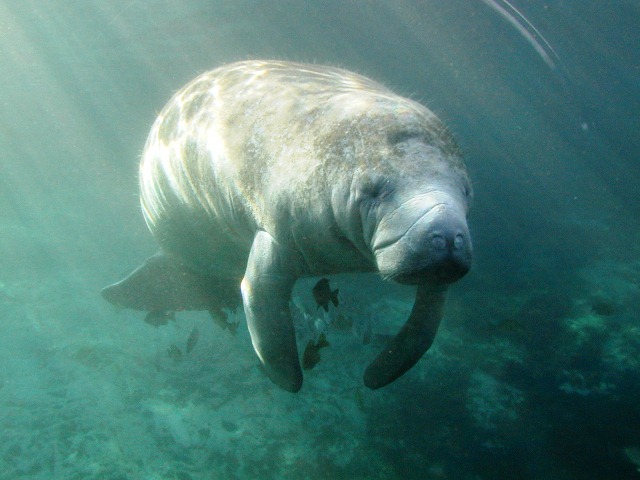 Florida Photo 1